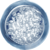 Synevra UltraLift Ingredients