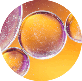 Synevra UltraLift Ingredients