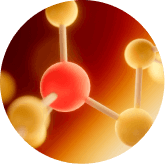 Synevra UltraLift Ingredients